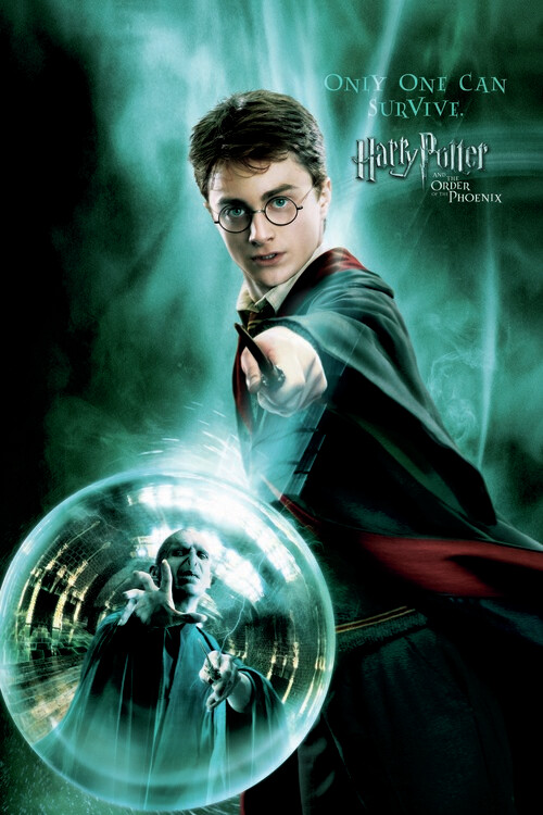 Canvas Print Harry Potter  - Only one can survive