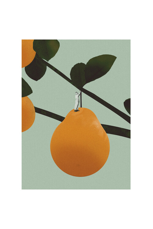 Poster Tree decoration