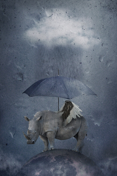 Levně Plakát, Obraz - under the rain, Muriel Vekemans, 26.7 × 40 cm