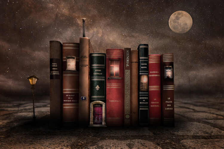 Canvas Print night library