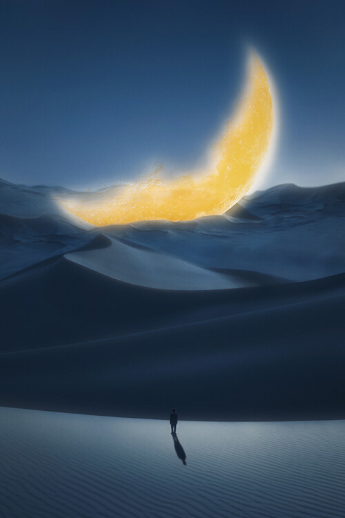 Poster Under the moon