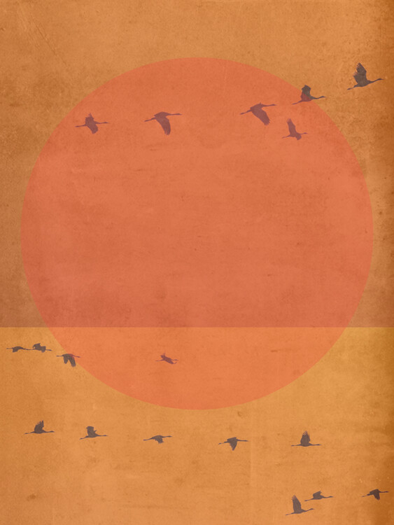 Poster Sunset birds