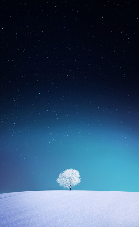 Levně Plakát, Obraz - Apple, Bess Hamiti, 24.5 × 40 cm