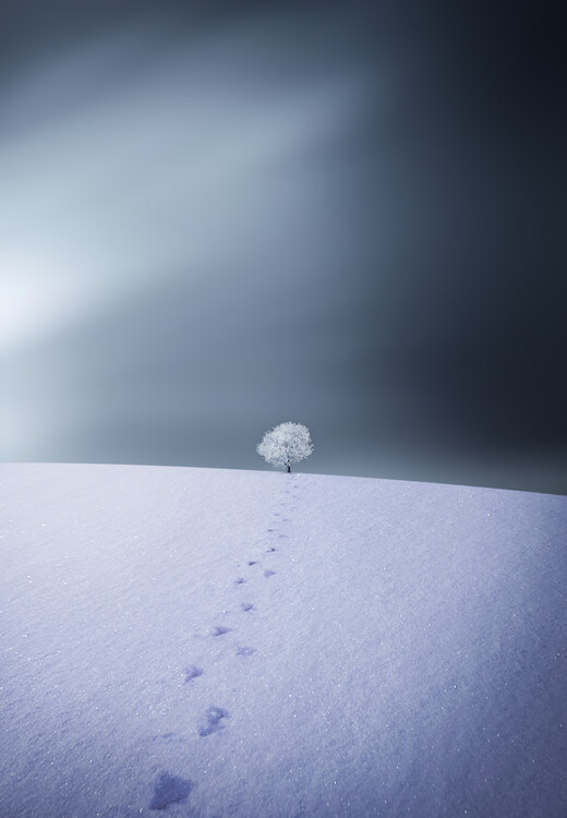 Levně Plakát, Obraz - Winter, Bess Hamiti, 26.7 × 40 cm