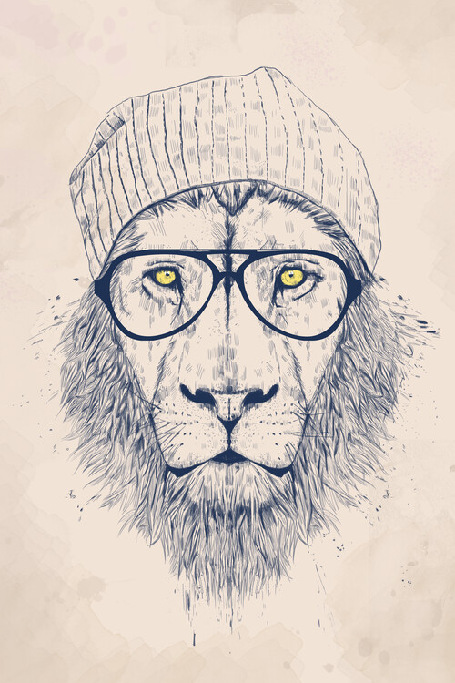 Poster Cool lion