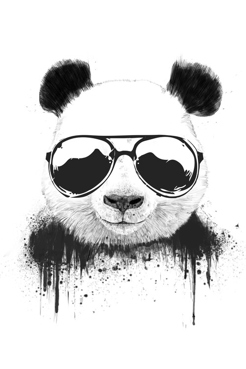 Plakát, Obraz - Stay cool, 26.7 × 40 cm