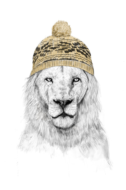 Poster Winter lion