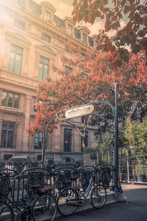 Póster Metropolitain