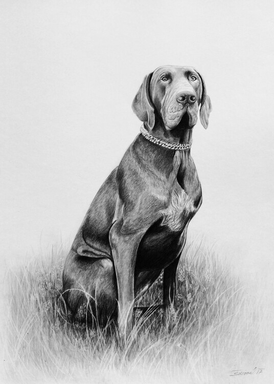 Poster Good boy