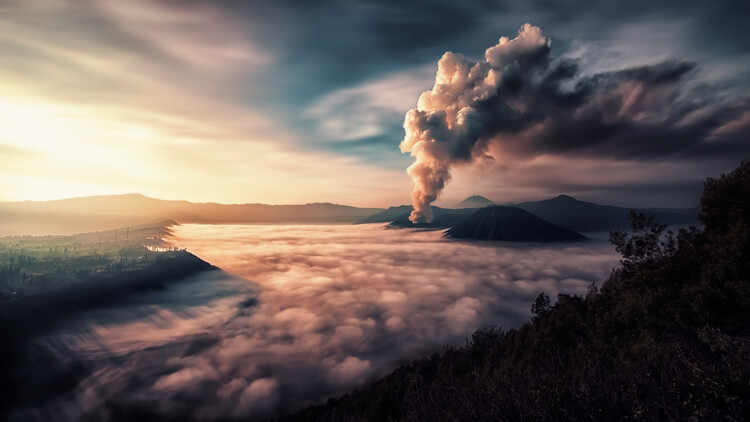 Poster Early Morning In Java