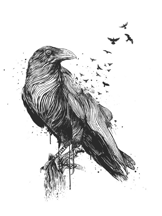 Poster Born to be free