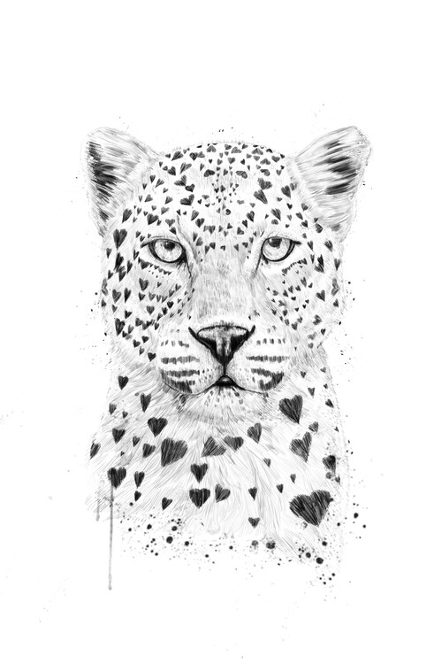 Poster Lovely leopard