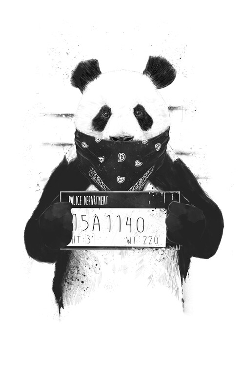 Poster Bad panda