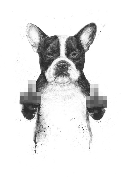 Poster Censored dog