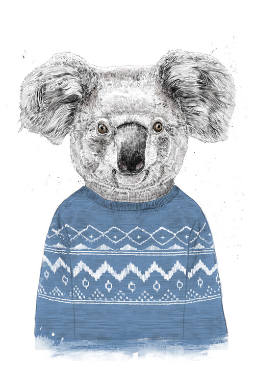 Poster Winter koala