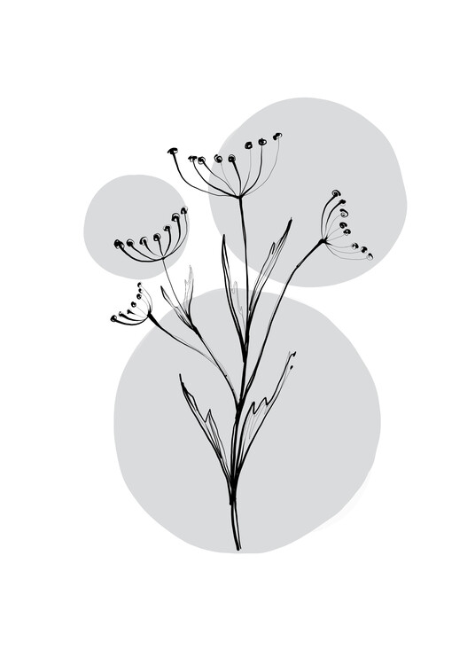 Poster Delicate Botanicals - Wild Carrot