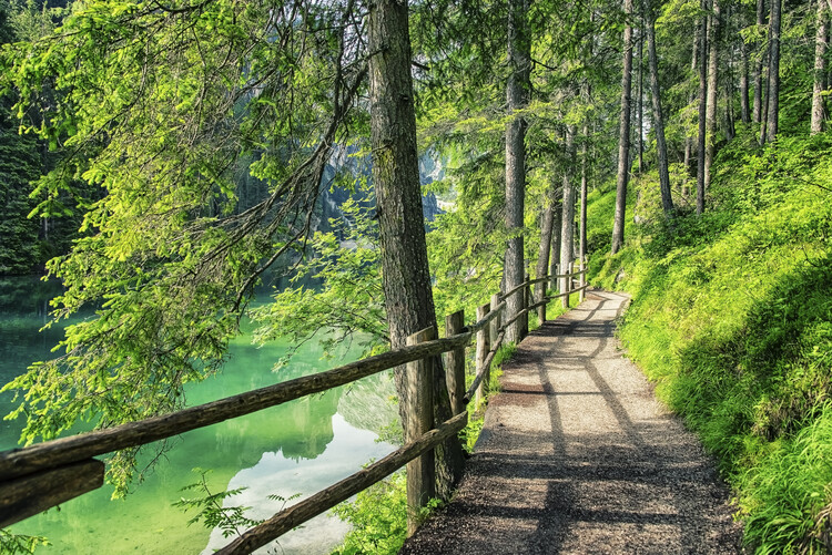 Poster Path By The Lake