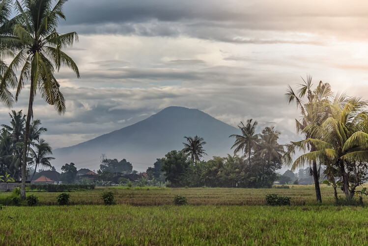 Plakát Bali Landscape