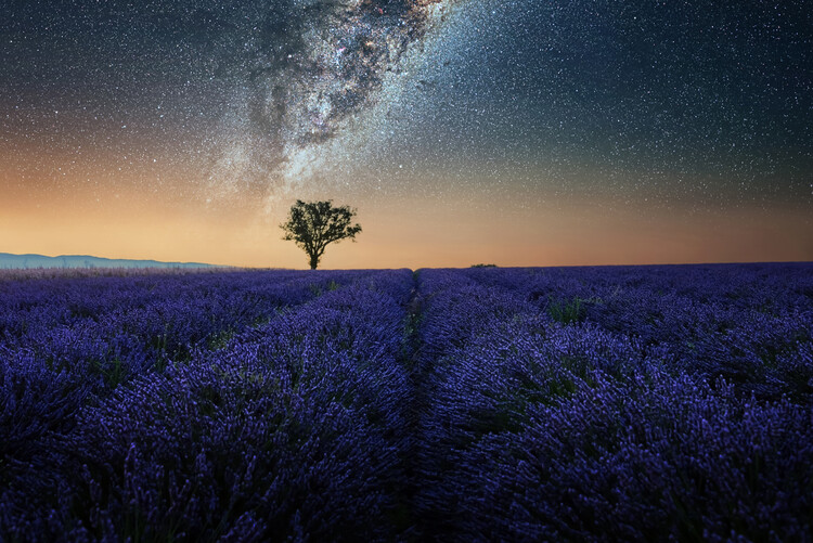 Poster Night in Provence