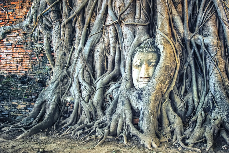 Poster Ayutthaya Landmark