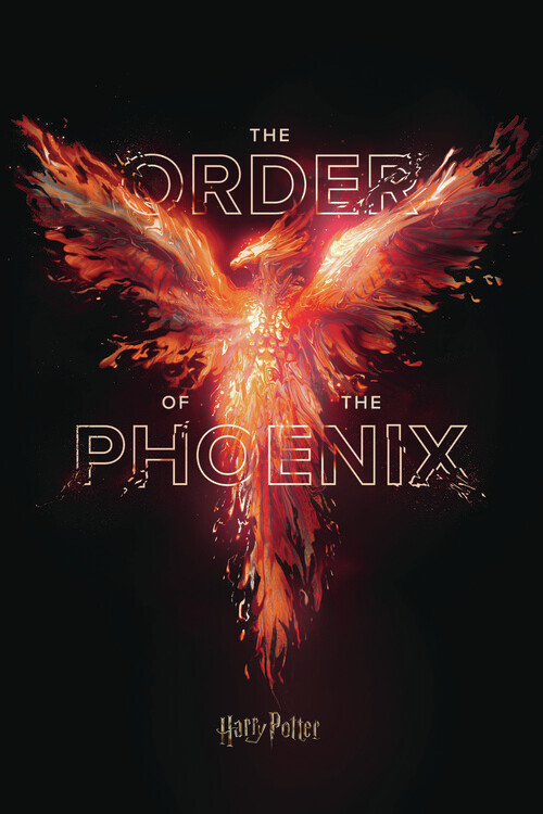 Poster Harry Potter - Order of the Phoenix