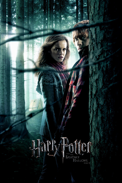 Poster Harry Potter in Svetinje smrti