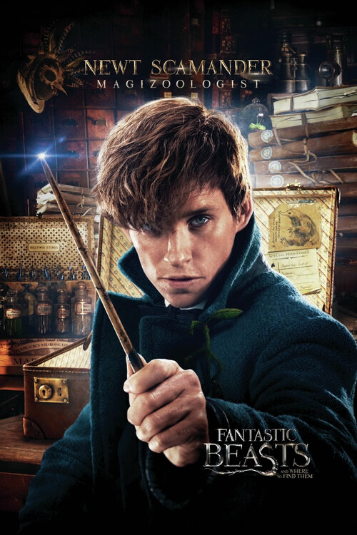 Poster Fantastic Beasts - Newt Scamander