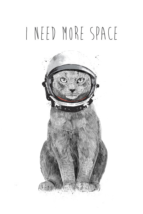 Poster I need more space