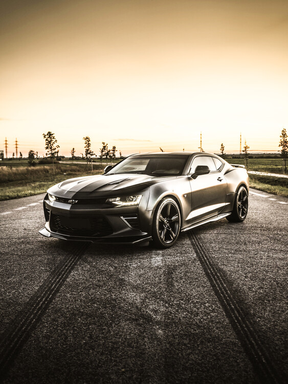 Poster Muscle Car Sportcar Auto in Black