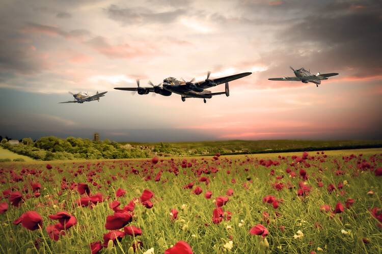 Canvas Print BBMF Poppy Sunset
