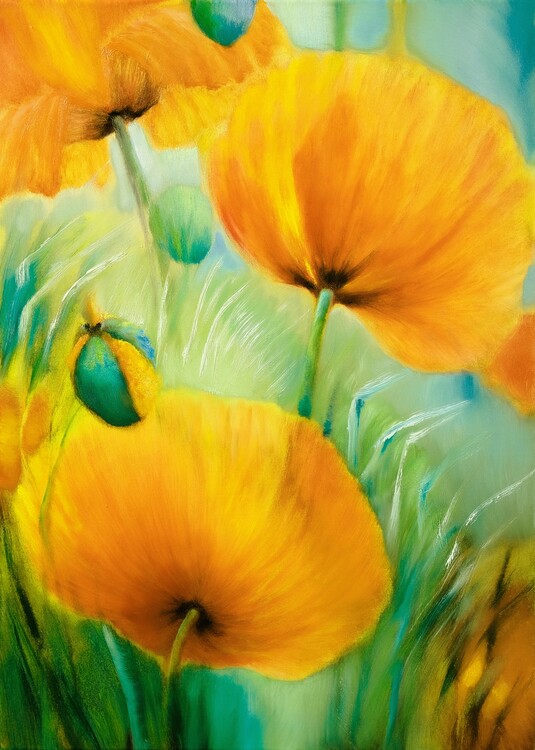 Plakát Poppies