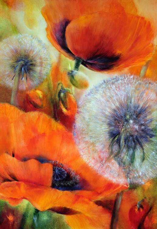 Plakát Poppies and dandelions