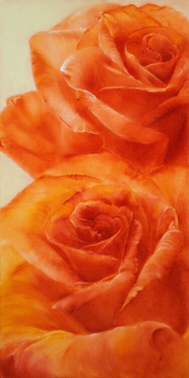 Plakát Roses