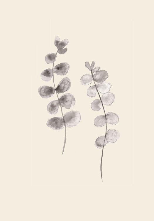 Levně Plakát, Obraz - Eucalyptus Twigs, Studio Collection, 26.7 × 40 cm