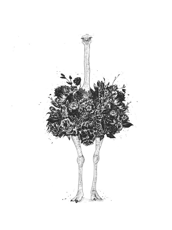Poster Floral ostrich