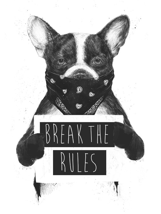 Poster Rebel dog