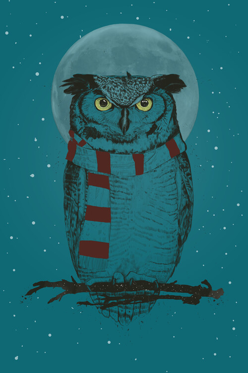 Poster Winter owl
