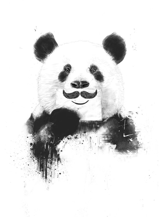 Poster Funny panda
