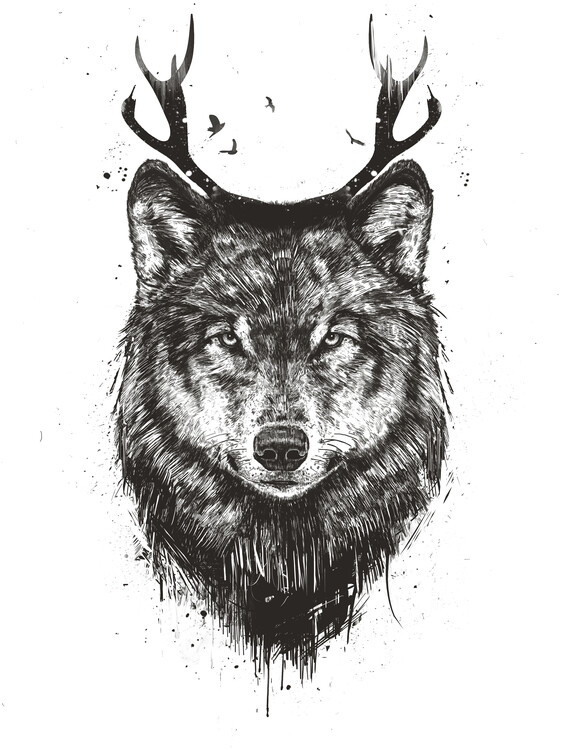 Poster Deer wolf