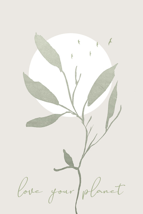 Poster Love your planet