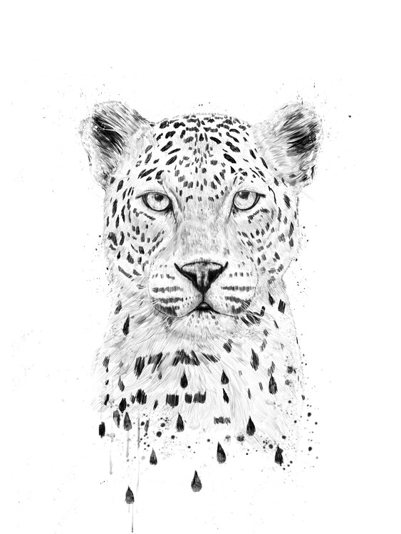 Poster Raining again