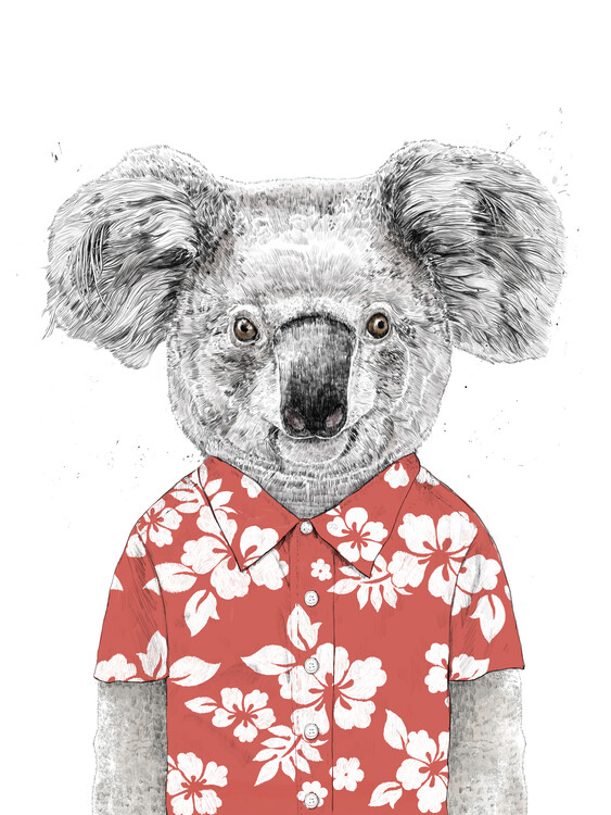 Poster Summer koala