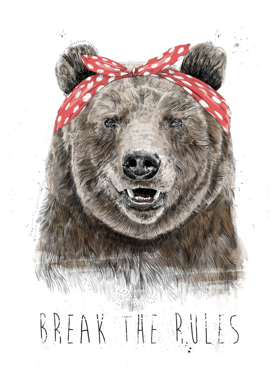 Poster Break the rules