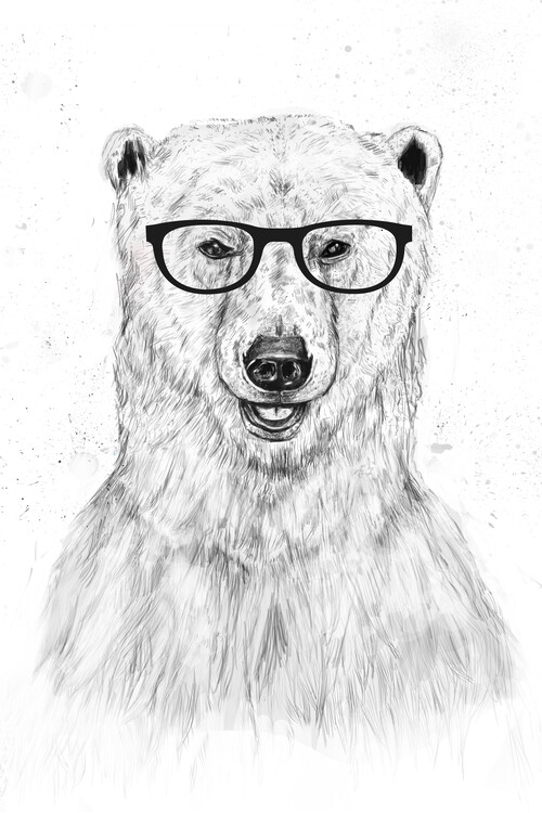 Poster Geek bear