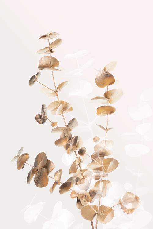 Levně Plakát, Obraz - Eucalyptus Creative Gold 03, Studio Collection, 26.7 × 40 cm