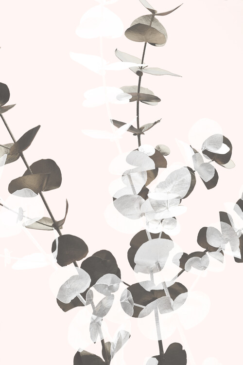 Levně Plakát, Obraz - Eucalyptus Creative 12, Studio Collection, 26.7 × 40 cm