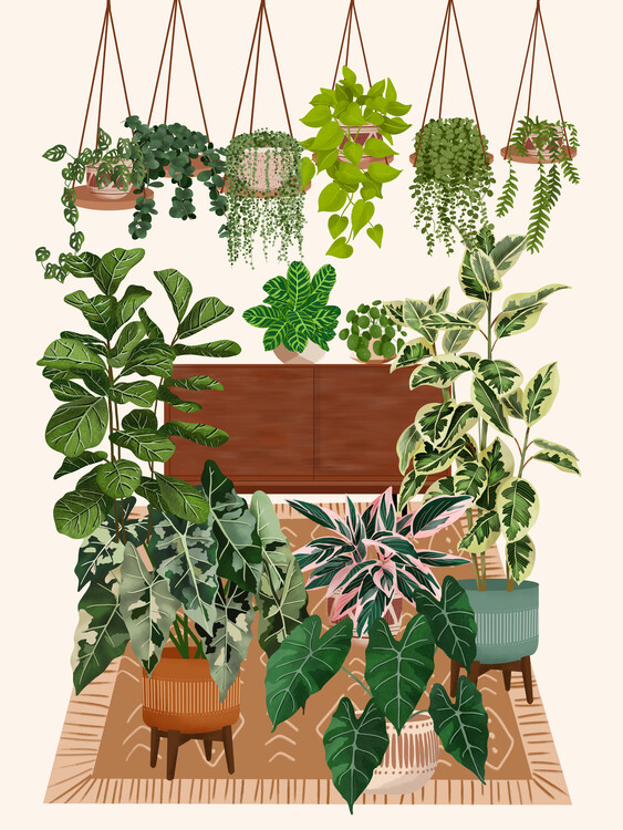 Poster House Plant Collection