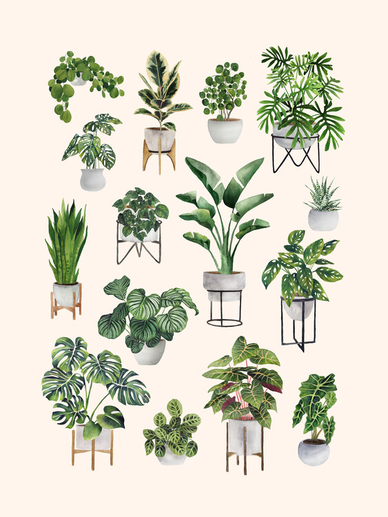 Poster House Plant Collection 2