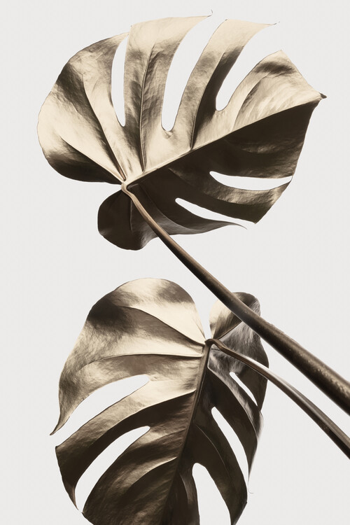 Poster Monstera Gold 08