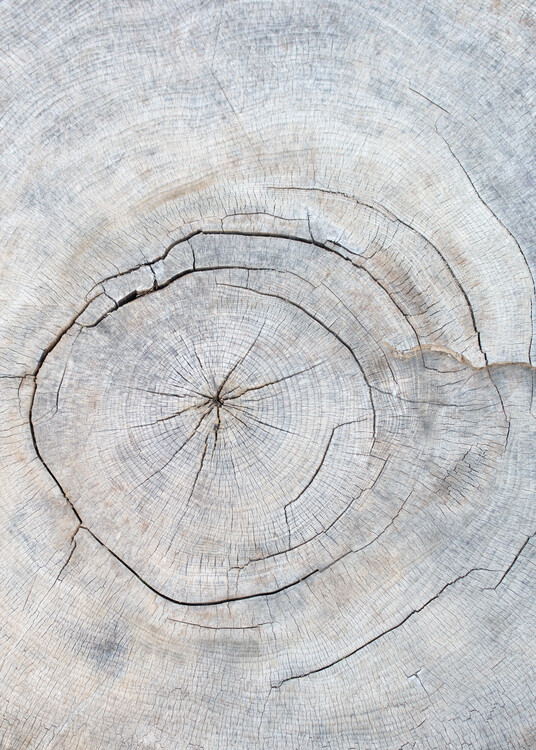 Poster Pattern_wood_2